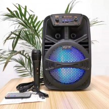 Малка караоке колона с микрофон, светлини и акумулаторна батерия - BT-6106