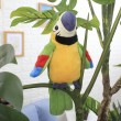 Реджи говорещия папагал с махащи крила - WJ36 8
