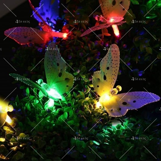 Верига от LED лампички с пеперуди, избор от 12 или 20 лампички SD18
