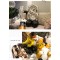 Луксозни комплекти с балони и декорация за рожден ден и празнични събития HZS534 4