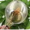 Декоративна крушка със златисто стъкло, Е27 фасунга 17