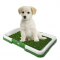 Тревиста плоскост за тоалетно обучение на кученца TV1271 1