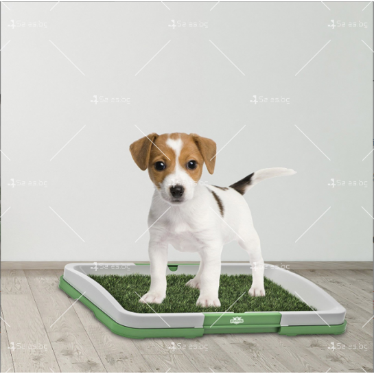 Тревиста плоскост за тоалетно обучение на кученца TV1271