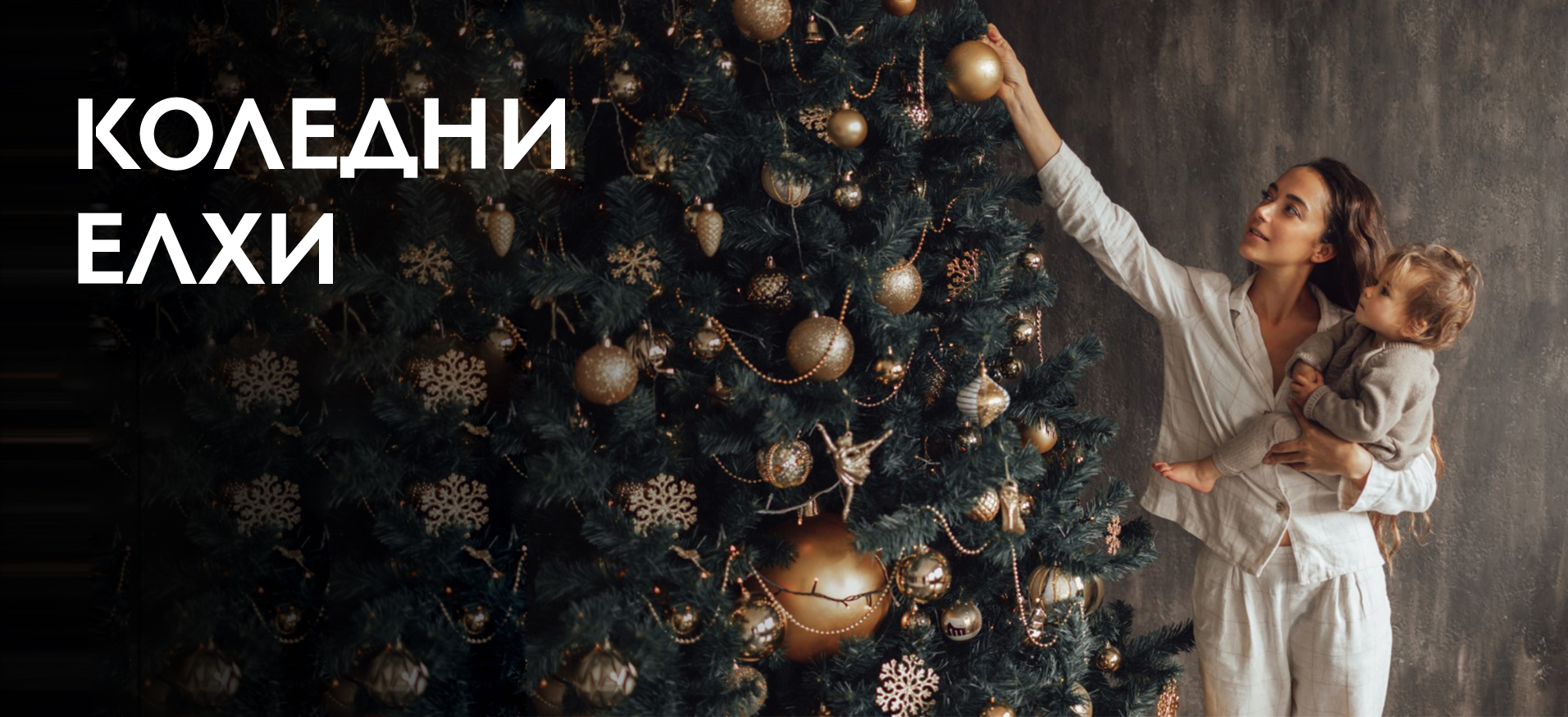 Коледни елхи само за 8лв.